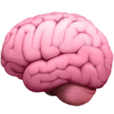 Icono de cerebro